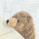 Bernard - drawing by Jane Baxter