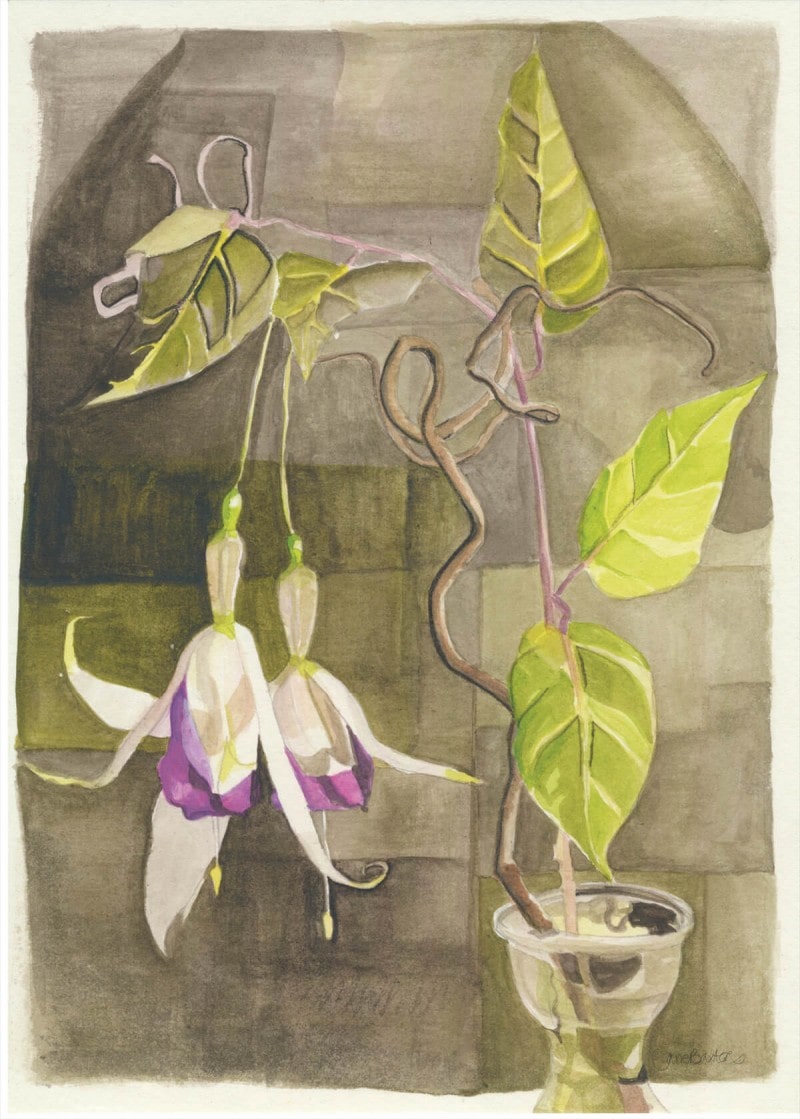 Fuschia drawing
