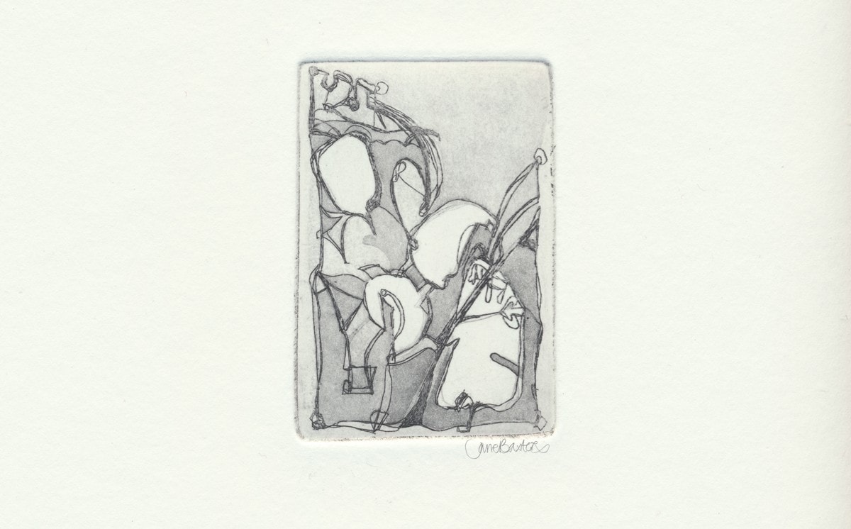 Copper plate etching print of honesty shadows