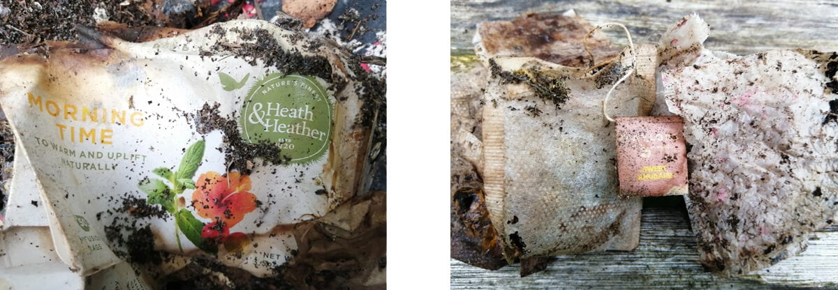 Morning TIme Tea and Tea Bags Composting(1)