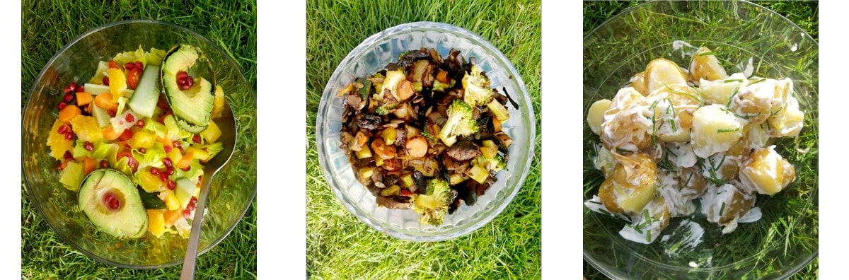 Fabulous food for health and healing - 3 colourful salad dishes in bowls on the grass