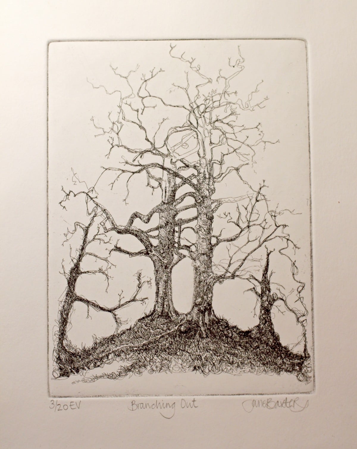 Branching Out - Light, more wiping exposing a detailed copper plate