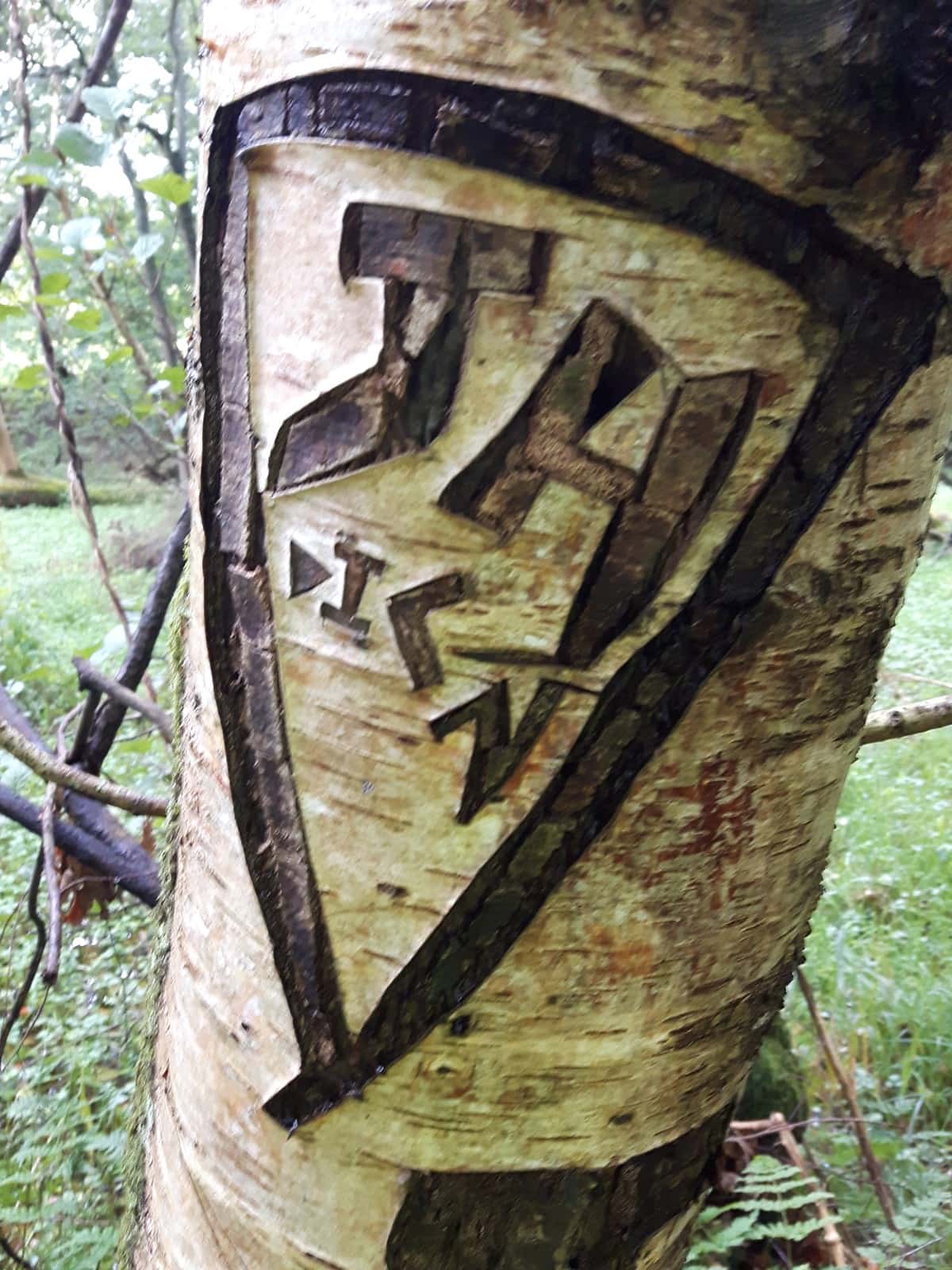 Carved initials in Tree
