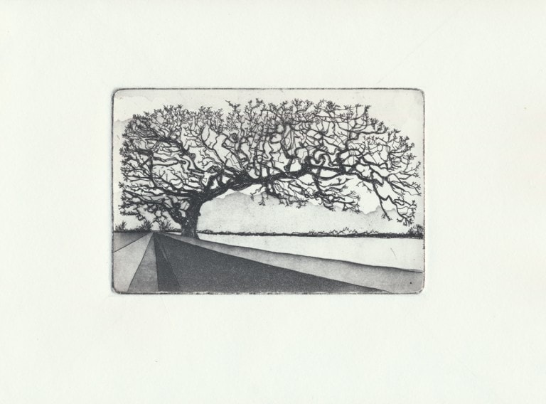 Copper Plate Etching - Tree I