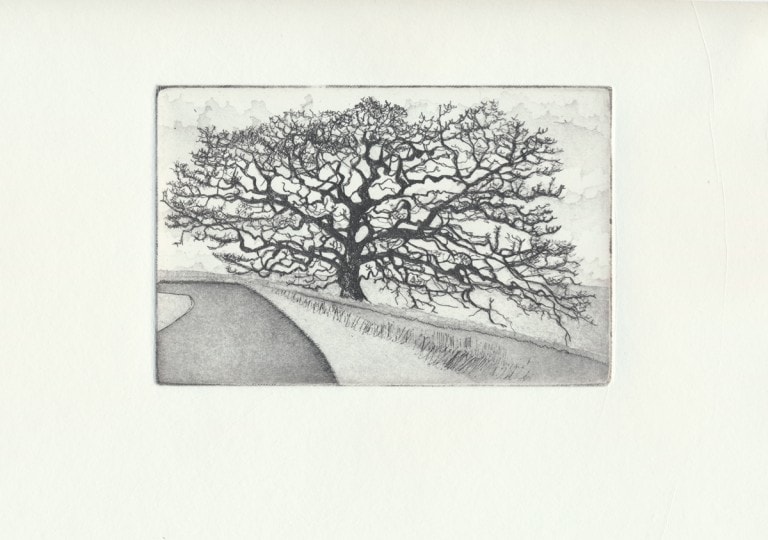 Copper Plate Etching - Tree II