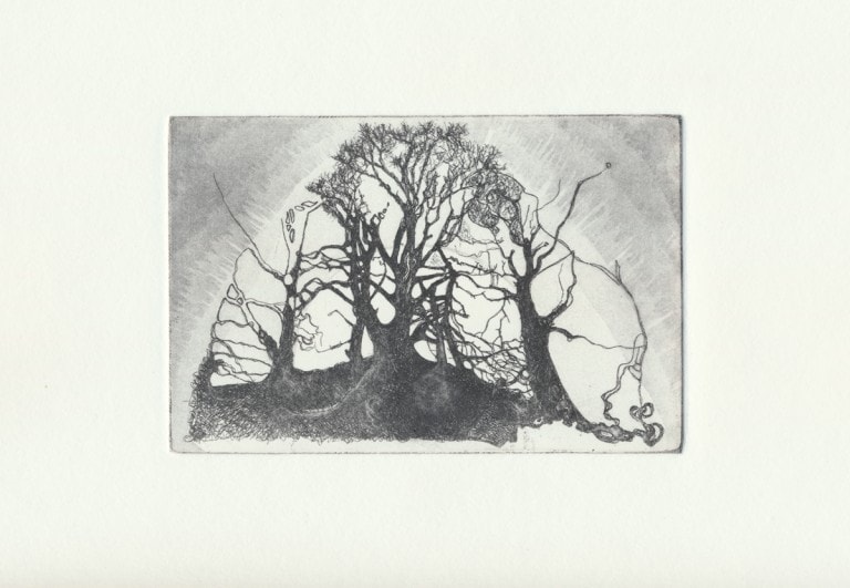 Copper Plate Etching - Trees I