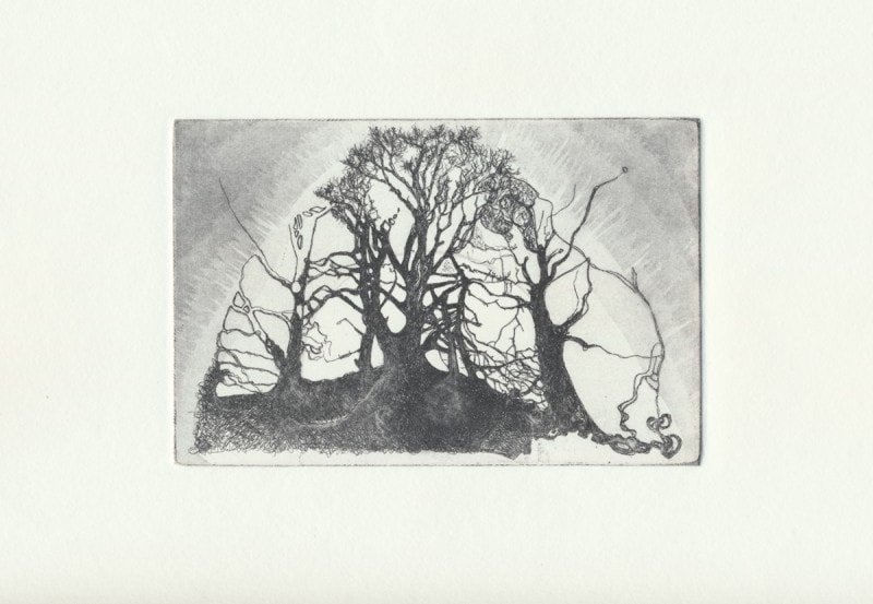Copper Plate Etching - Trees I