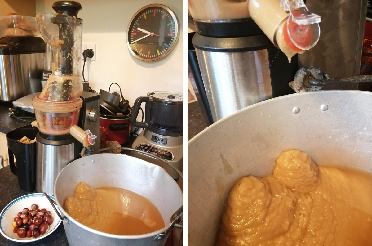 Juicer excreting crab apple and marrow sludge