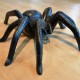 Steel Spider Sculpture photograph
