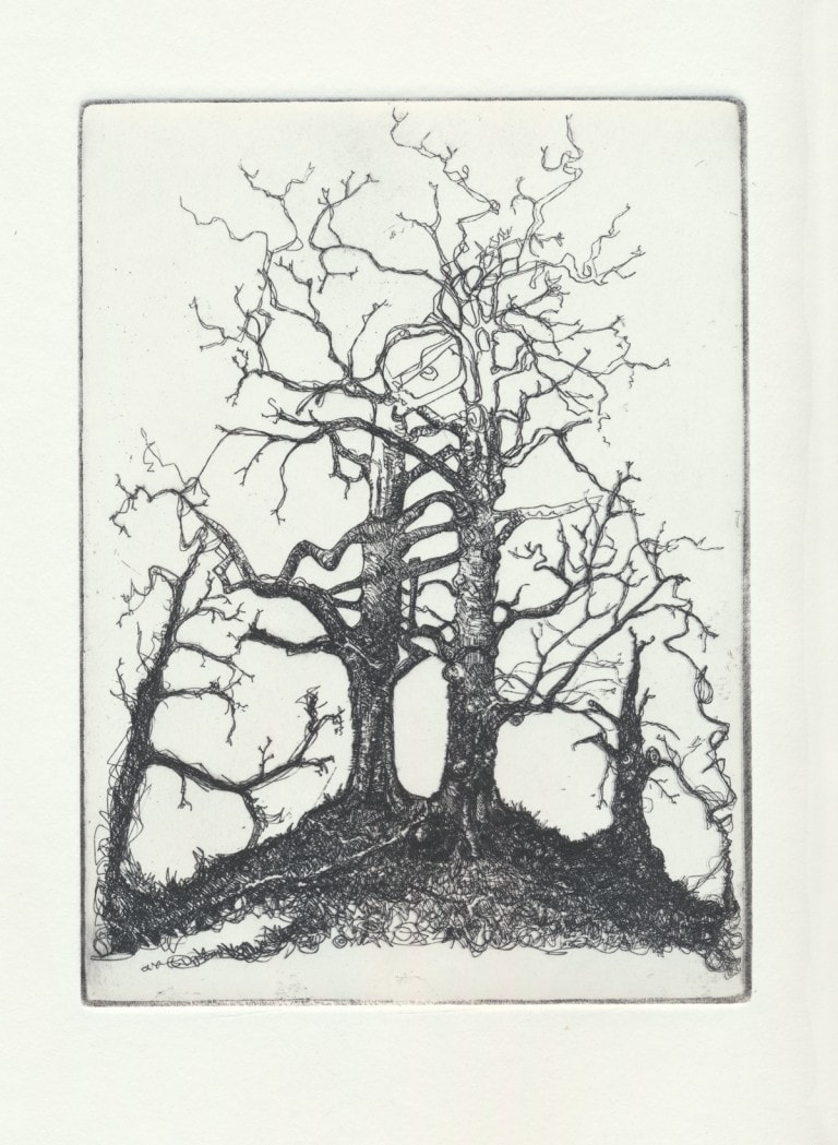 Trees II, Copper Plate Etching