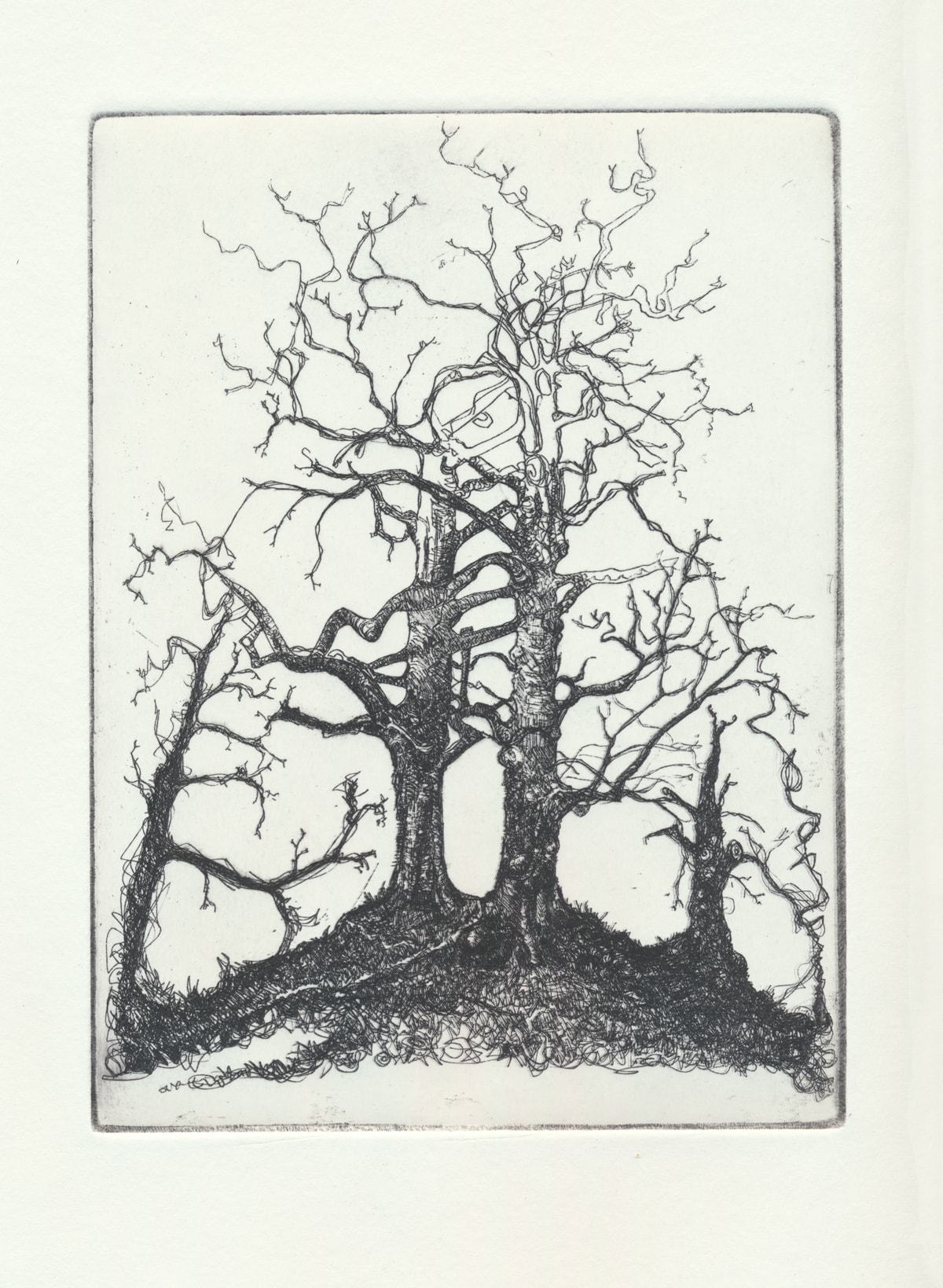Trees II, Copper Plate Etching