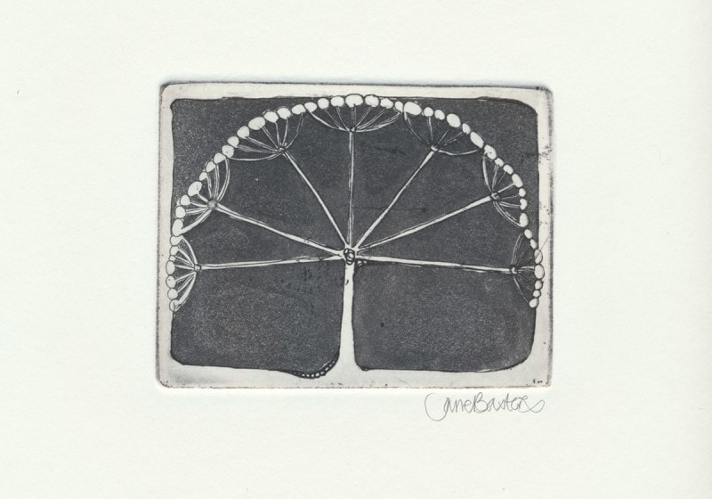 Hogweed - a monotone copper plate etching print which used aquatint