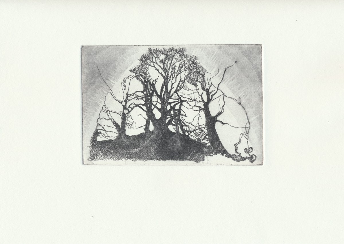 Into the Trees copper plate etching print scan for wip