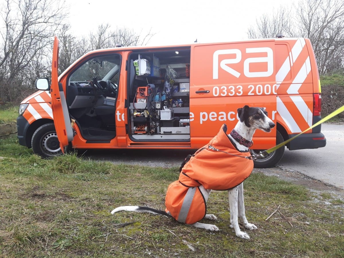 RAC long doggo - such a good helper
