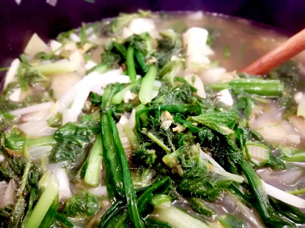 Rough nettle soup in the pot - un zapped