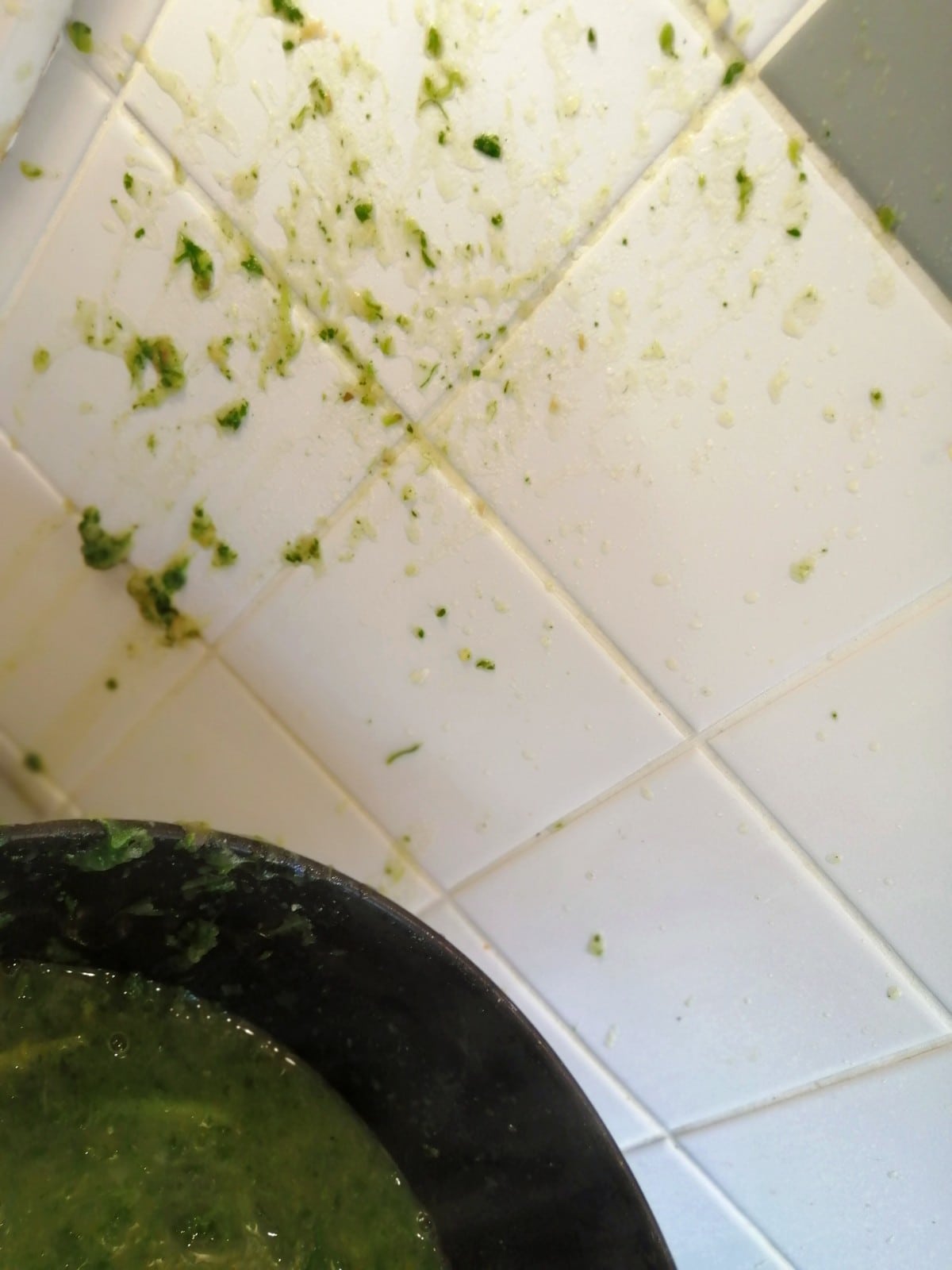 Photo of Nettle Soup Splattered on the kitchen wall