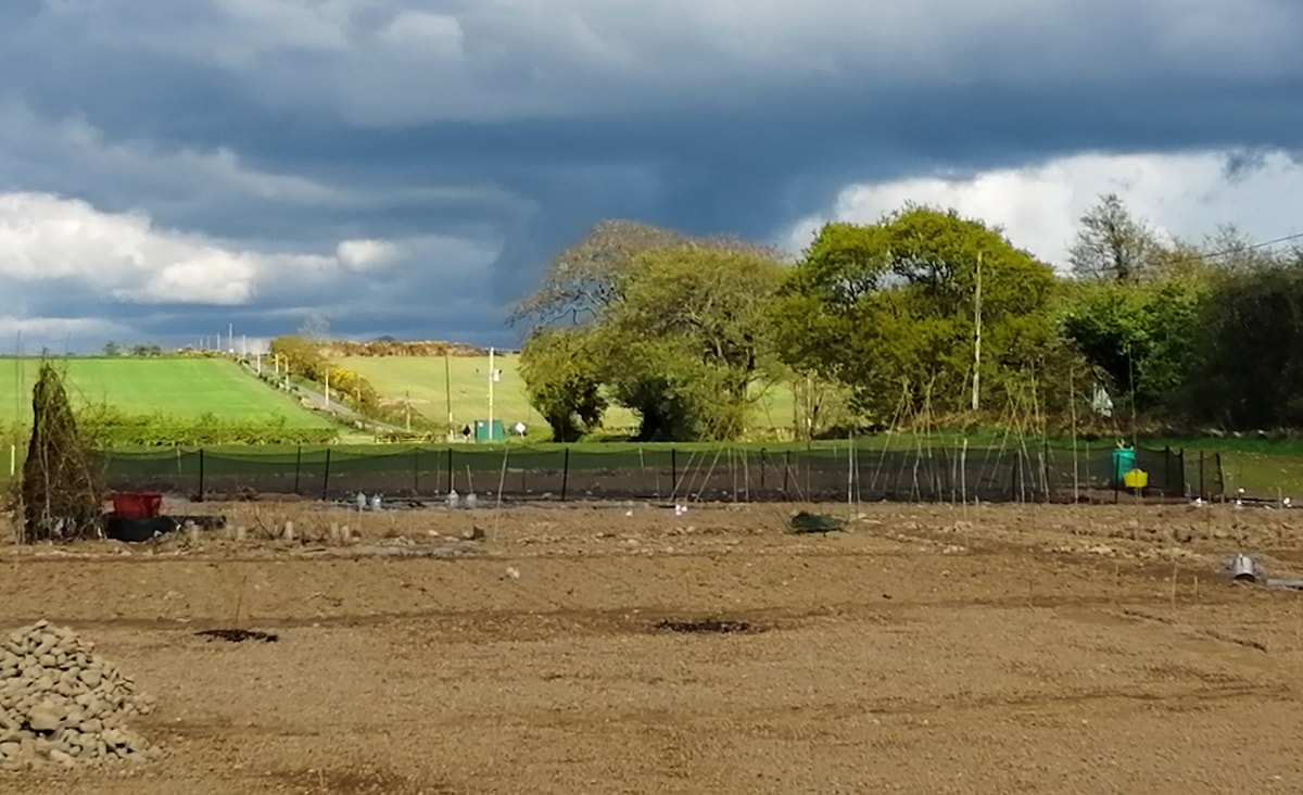 Photo of a view of the allotment