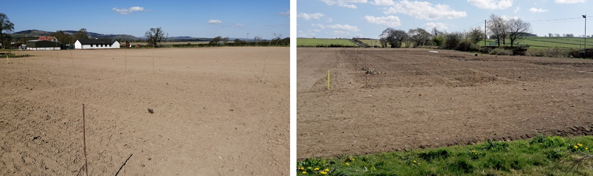 Photo showing two views of expansive barren field - the allotment site
