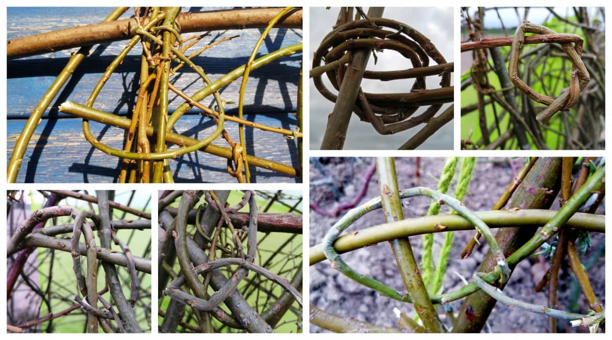 Grid of various photos of knots I made in the willow