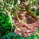 Photo of my woven dandelion basket hanging in a tree