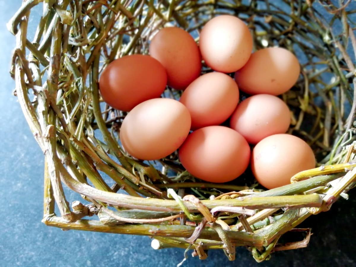 Close up photo of eggs in my handmade willow woven basket