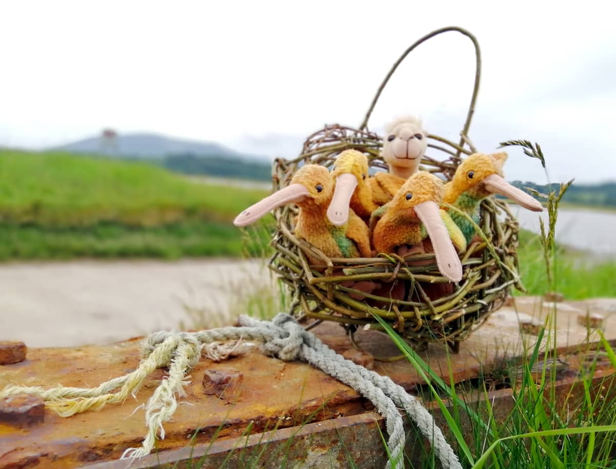 Photo showing a nest of curlews in hand made willow basket on a rusty sleeper tied with fraying rope with a scenic coastal background