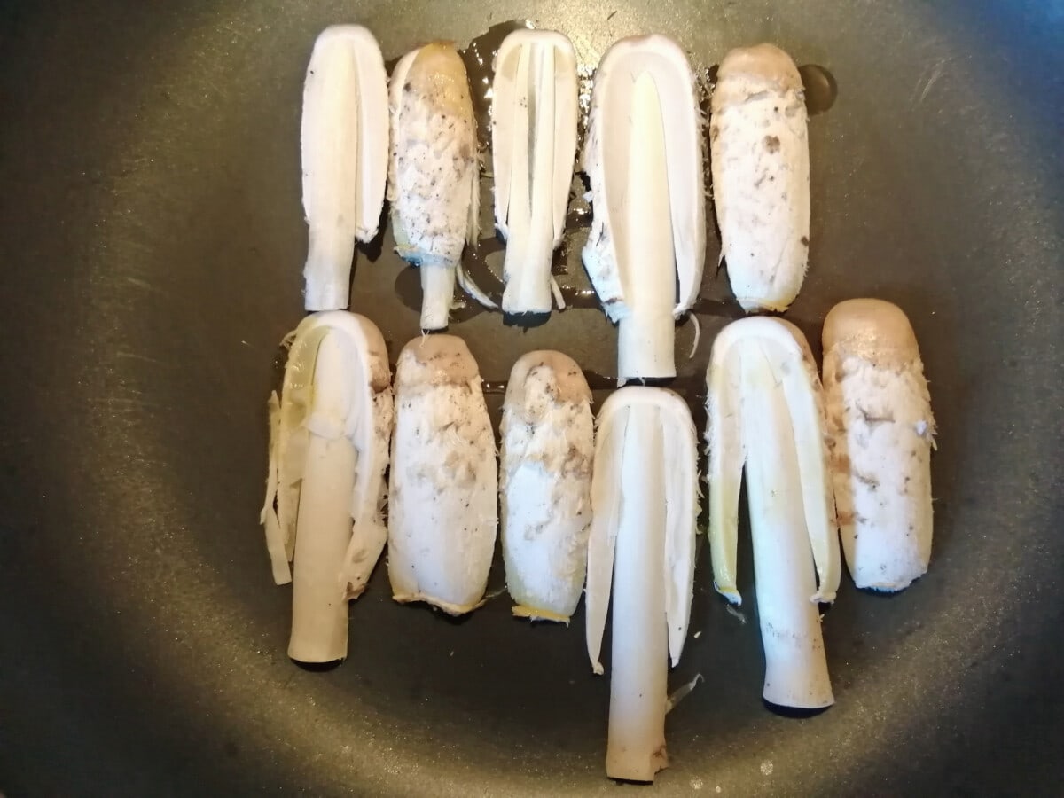 Frying Shaggy Inkcap