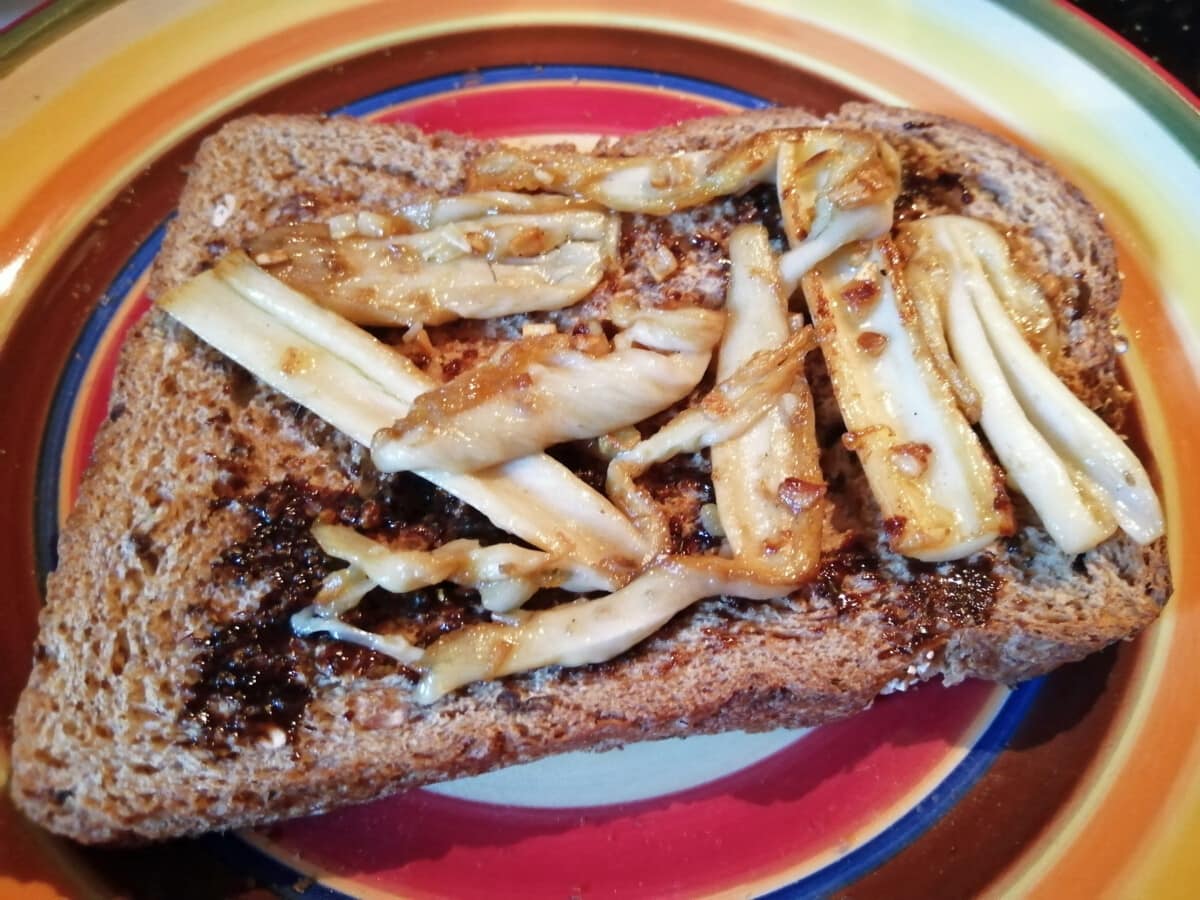 Shaggy Inkcap on toast