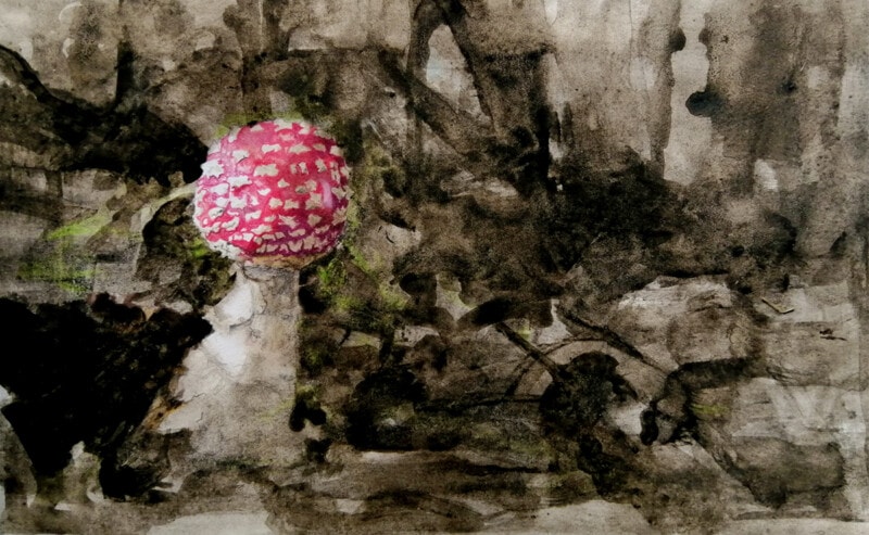 Drawing of Fly Agaric mushroom with a red and white top on a monochrome back ground painted in shaggy ink cap ink