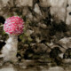 Drawing of Fly Agaric mushroom with a red and white top on a monochrome back ground painted in shaggy ink cap ink