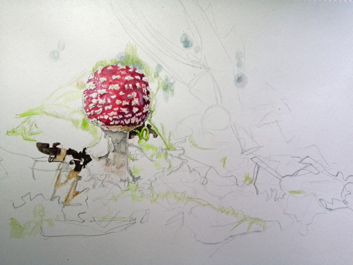 Photo of the 3rd stage of Fly Agaric red and white mushroom paiting drawing - work in progress 3 - showing the start of the background