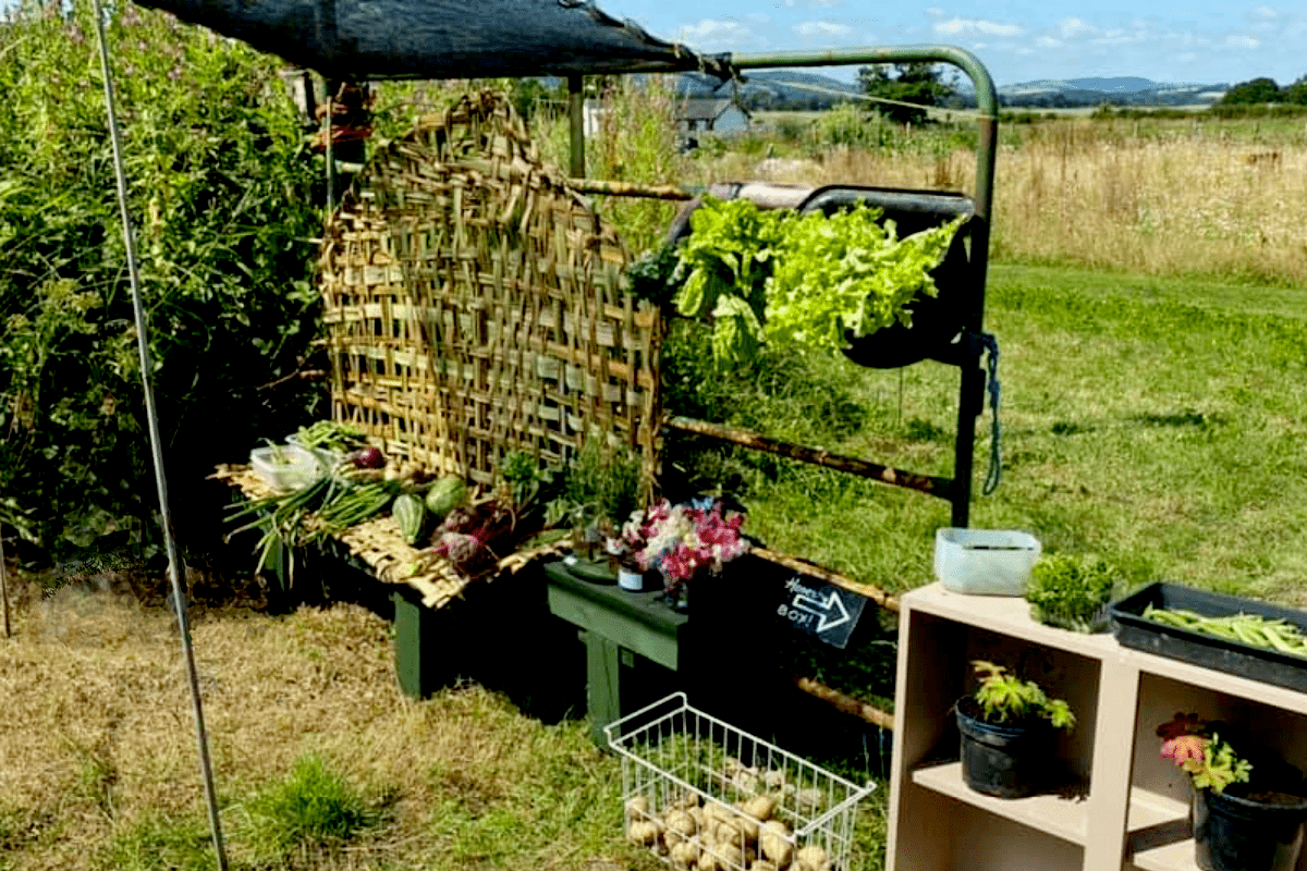 Woven NZ flax mat and windbreak in situ with vegetable and produce stall newly stocked