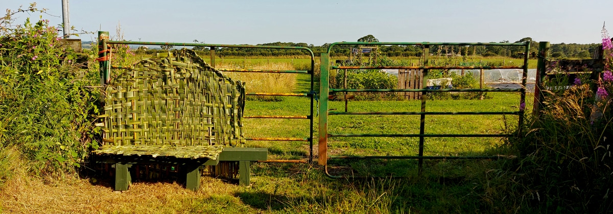 NZ Flax woven back drop on the allotment gate