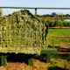 NZ Flax weaving on site at the allotment gates