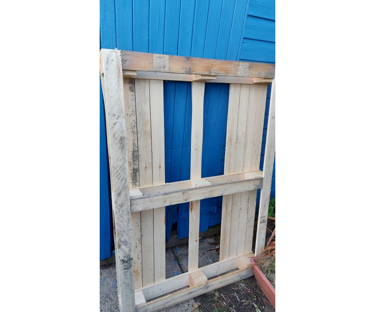 Photo of a pallet leaning up against a blue shed door