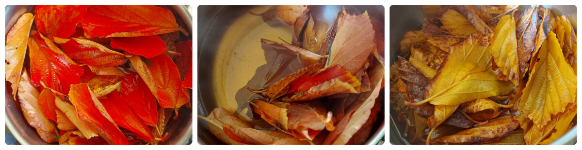 3 photos showing the colour leaving the witch hazel leaves through boiling in the ink making process