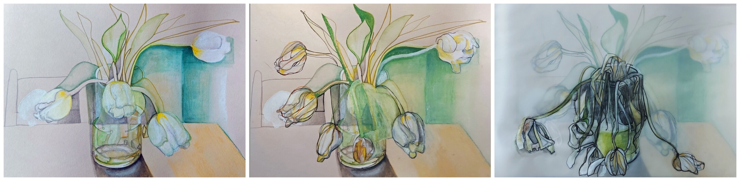 Triptych/ trio of coloured penccil drawings of a vase of tulips at different stages of life. Beginning to End.