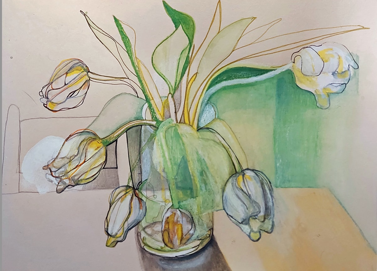Coloured pencil drawing of White tulips - beginning to fade - beginning of the end
