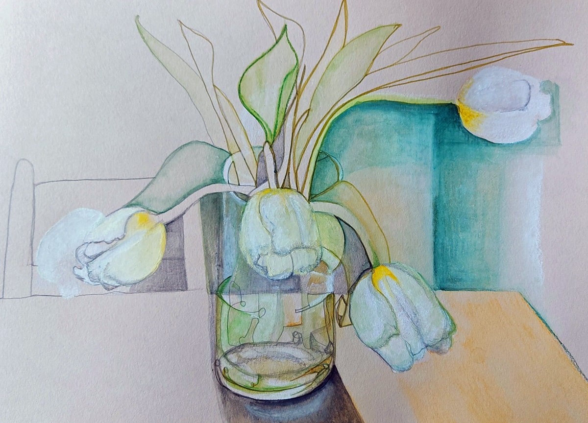 Coloured pencil drawing of white tulips