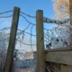 Photo showing the silhouette of a Frosty countryside style and web-like wire web against a wintery skies