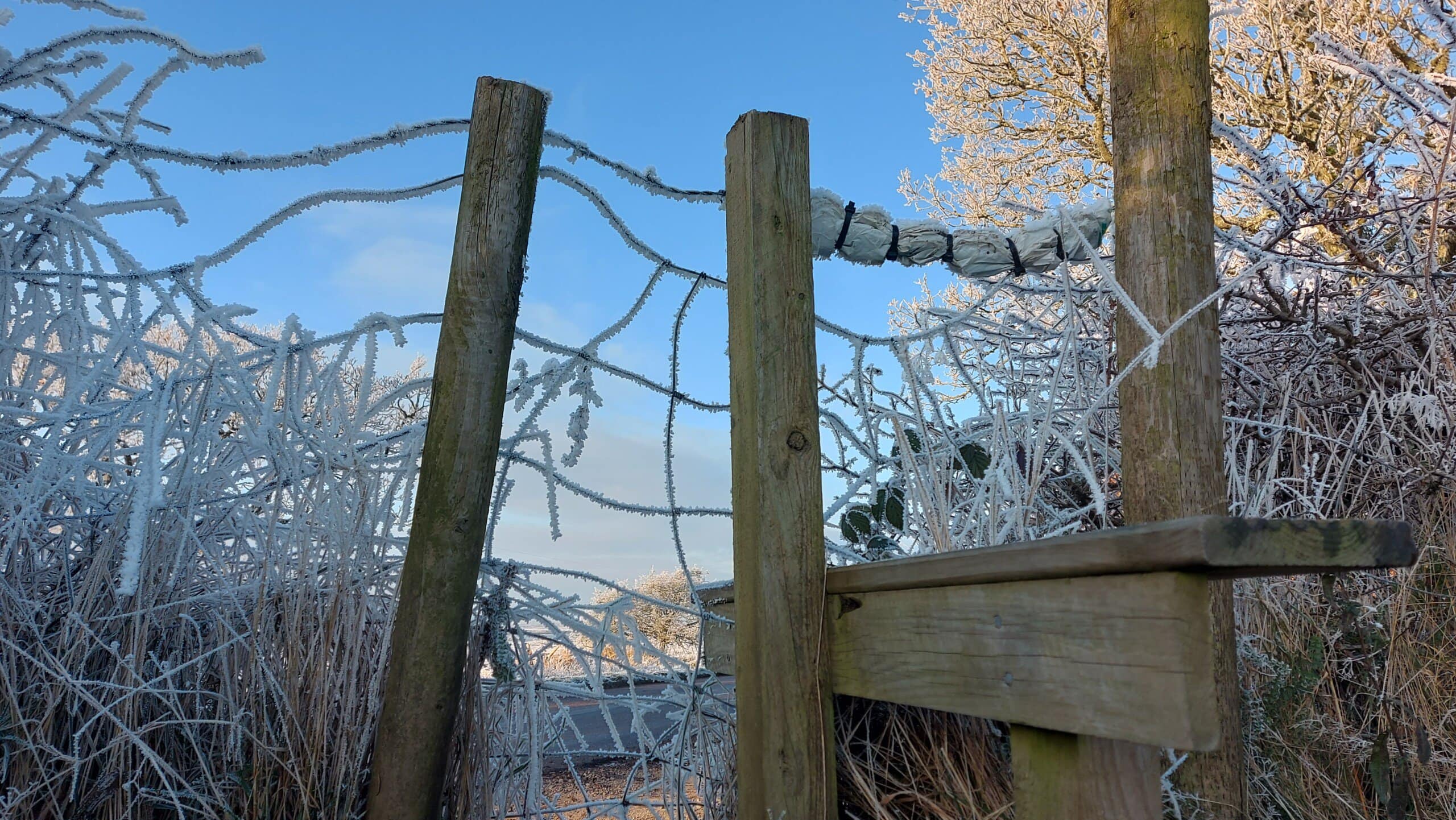 Photo showing the silhouette of a Frosty countryside style and web-like wire web against a wintery skies