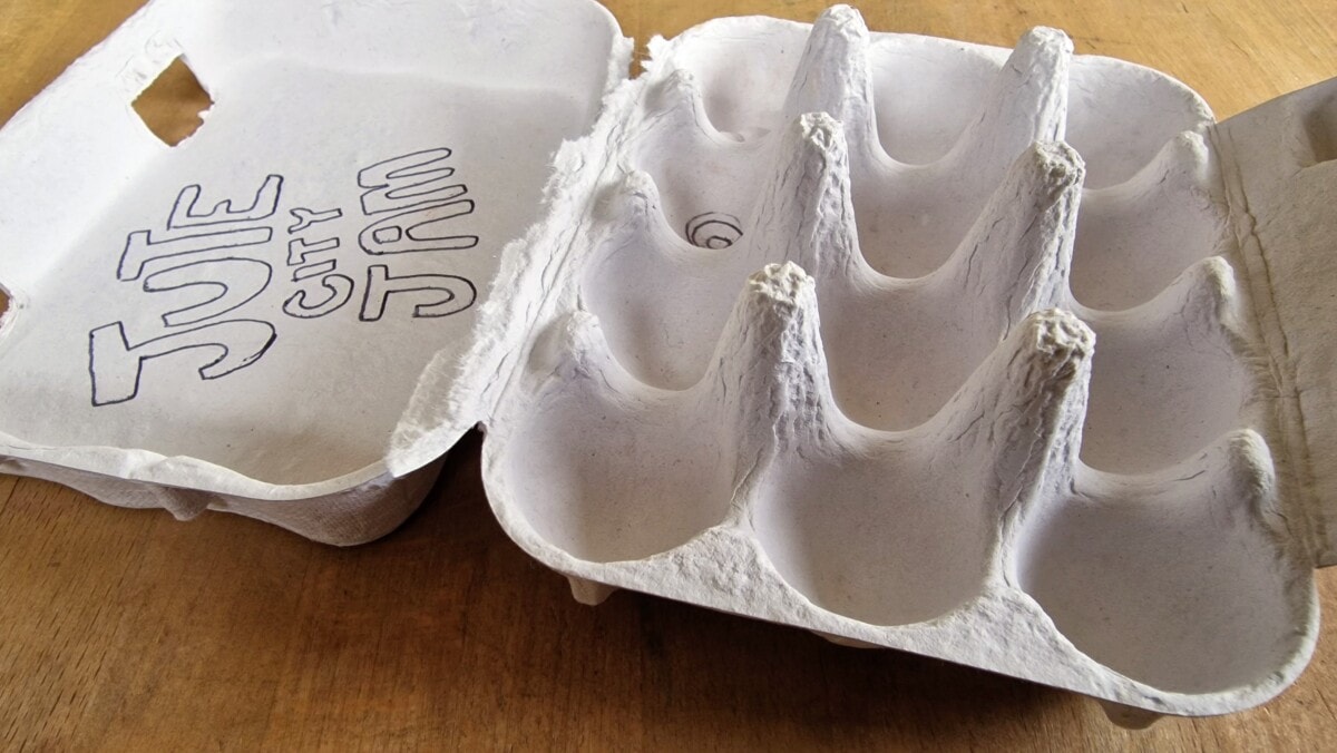 Small egg carton