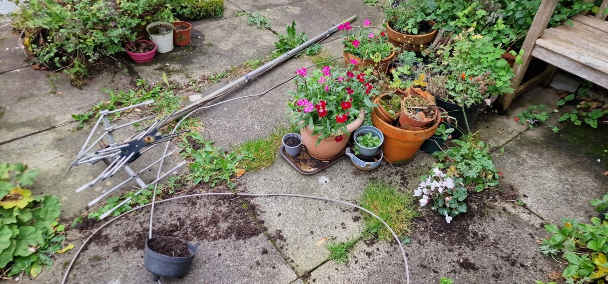 Photo of old tv aerial landing amongst pot plants
