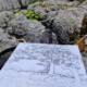 Pencil sketch of a tree atop some Cumbrian Crags