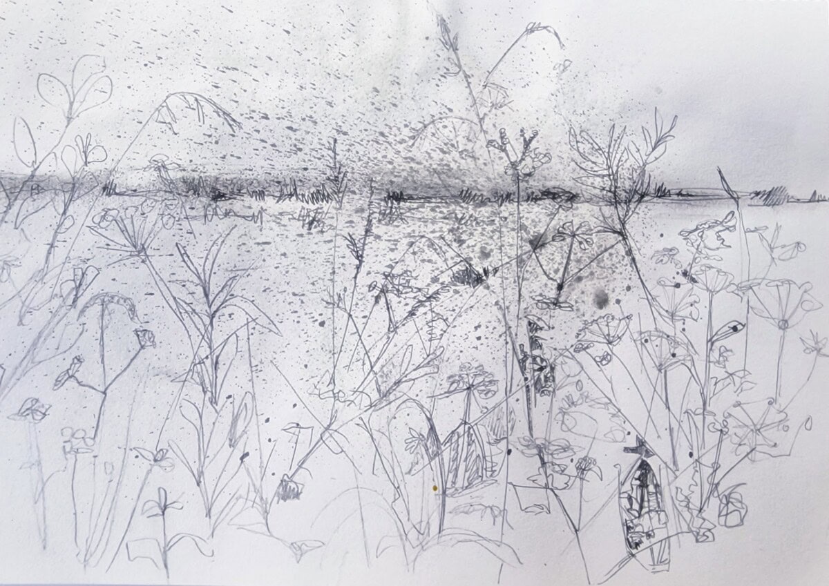 Quick sketch of grasses by the riverside