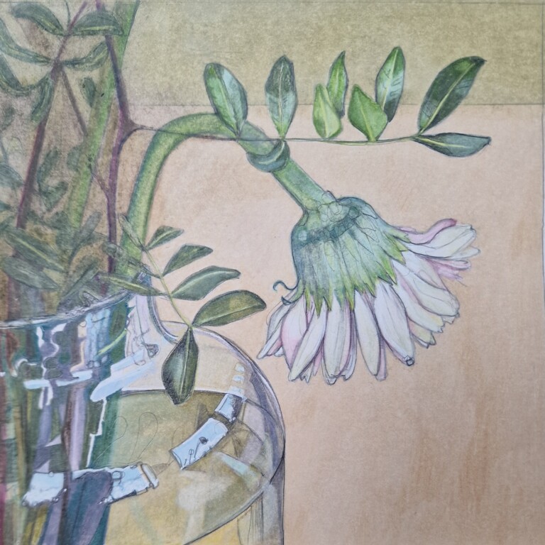 Drawing of a pale pink gerbera flower in glass vase. The flower is facing downwards.